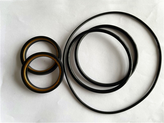 Kit Perbaikan Katup Colokan H2S yang Tahan Panas Minyak -20-220 derajat Celcius untuk Lapangan Minyak