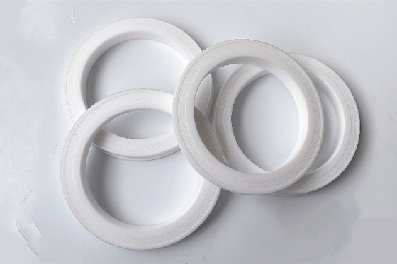 Penggantian Mudah Pemasangan 80 Nitrile PTFE Hammer Union Lip Seal Gasket / Ring