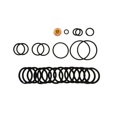 OEM/ODM Tersedia Nitrile Fluorelastomer Bridge Plugs 10 BP3.SEC Adapter Kits Untuk Redressing