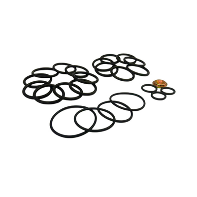 FKM EPDM NBR Rings Custom Colors Redress Kit #10 Baker Setting Tools Untuk Bridge Plug