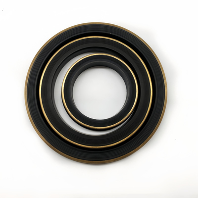 OEM ODM Replaceable Hitam HNBR 2 Inch Hammer Union Lip Seal