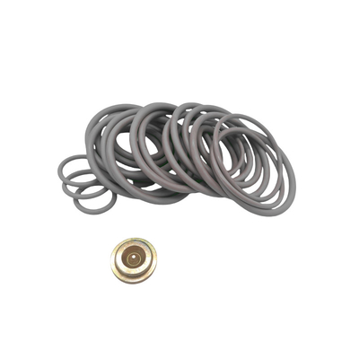 OEM/ODM Tersedia Nitrile Fluorelastomer Bridge Plugs 10 BP3.SEC Adapter Kits Untuk Redressing