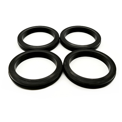 Royal Way Aplikasi Minyak Panas FKM 2'' Fig 607 Union Seal Rings