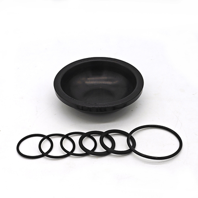 Blueflex Diaphragm Kit Untuk Pompa AR30/40 Karet NBR atau FKM yang tahan minyak