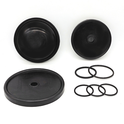 OEM ODM Pump Diafragma Kits Membran Karet
