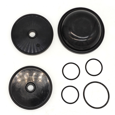Blueflex Diaphragm Kit Untuk Pompa Ar30/40
