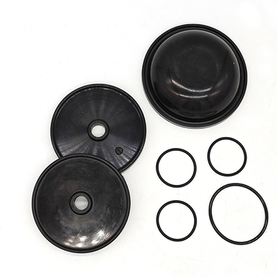 Blueflex Diaphragm Kit Untuk Pompa Ar30/40
