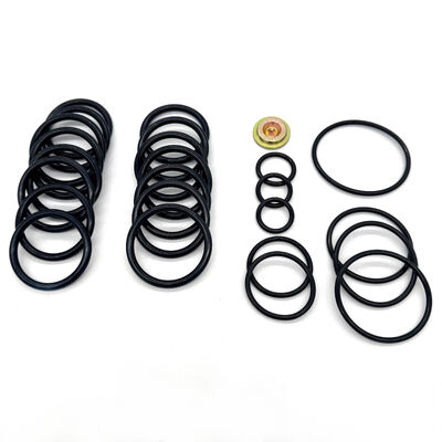 #10 Set Alat Seal Kit dengan 15.000 PSI Rating Tekanan dan Nitrile (NBR) Seal untuk Minyak & Gas Downhole Aplikasi