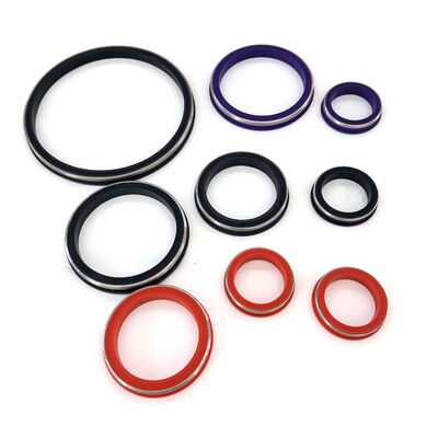 2 Inch FKM FIG 1002 Hammer Union Seal dan Hammer Union Lip Seal untuk layanan sumur minyak