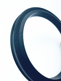 Dibuat di Cina Hammer Union Lip Seal Ring HNBR