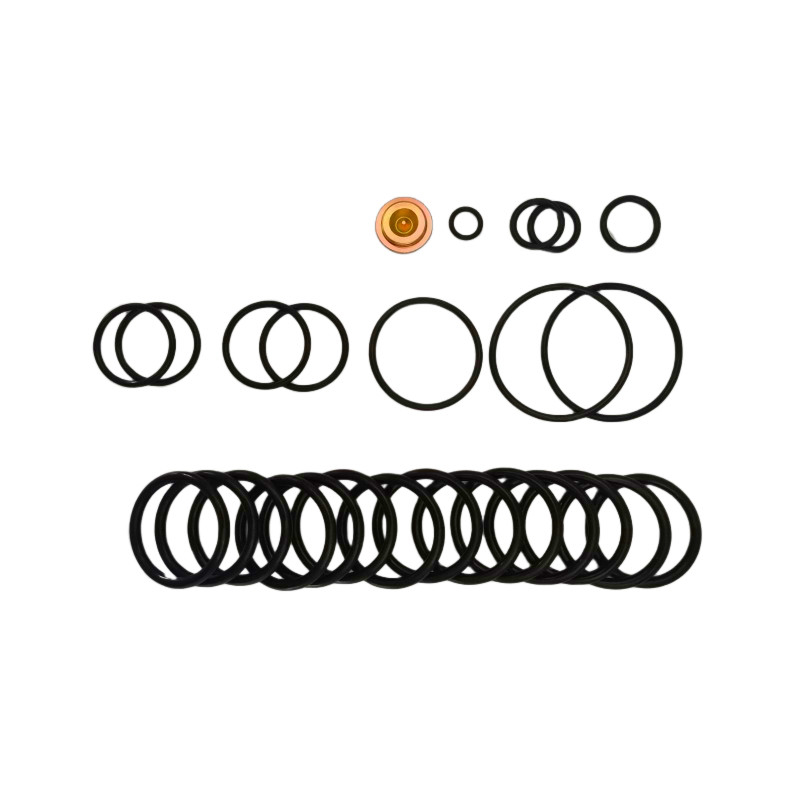 OEM/ODM Tersedia Nitrile Fluorelastomer Bridge Plugs 10 BP3.SEC Adapter Kits Untuk Redressing