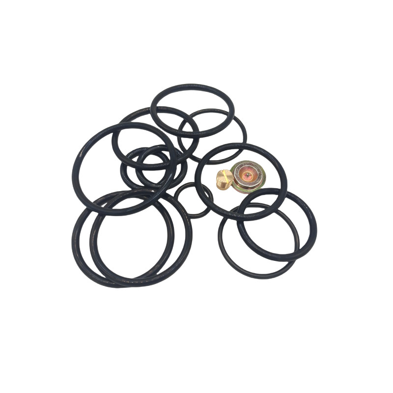 DWS 3 58 Compact Redress Kit Kits Segel Karet untuk Industri Minyak dan Gas