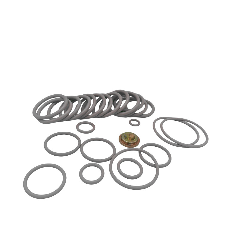BP3.SEC Kits Adaptor Kabel Karet O Ring Seal Kits untuk Industri Minyak dan Gas