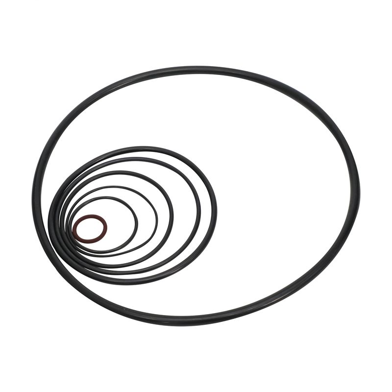 Layanan Suhu dan Tekanan Minyak yang keras Tahan Gas Asam Berkinerja Tinggi AS568 O-ring Karet Untuk Pipa Minyak