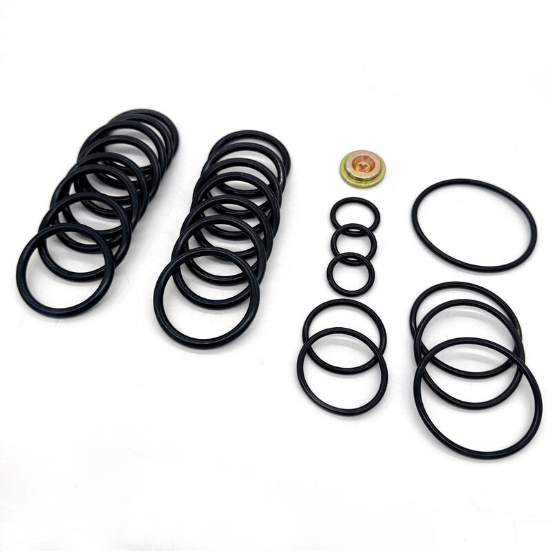 #10 Set Alat Seal Kit dengan 15.000 PSI Rating Tekanan dan Nitrile (NBR) Seal untuk Minyak & Gas Downhole Aplikasi